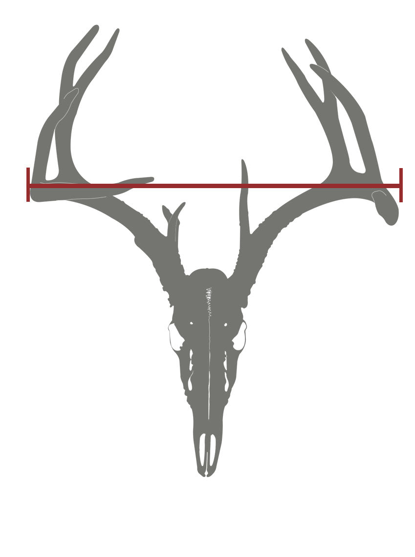 Where to measure to get the most accurate Steel Euro.