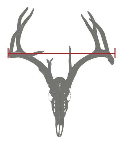 Where to measure to get the most accurate Steel Euro.